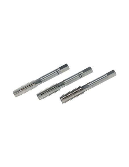 MACHOS A.R. VOLKEL  5.080